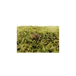 Scatola Muschio Naturale In Per Presepe 550gr